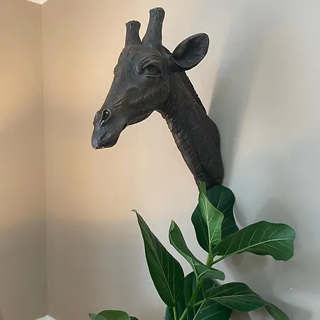 شقة Fabulous 2 Bed Flat يورك